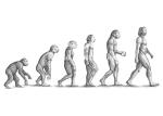Evolution-